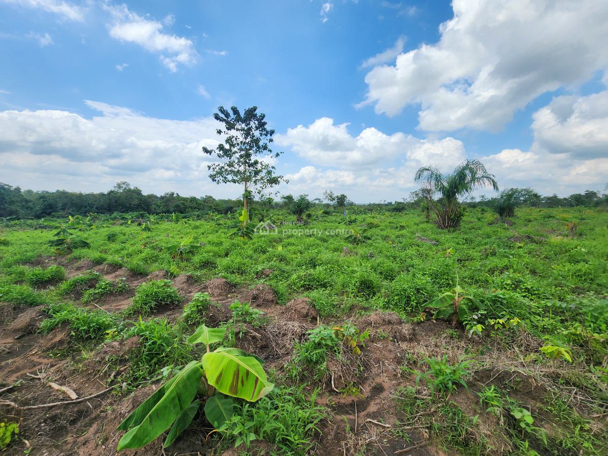 Get Your Own Farm Plots and Start Cultivating, Off Funaab, Alabata Road, Odeda, Ogun, Mixed-use Land for Sale