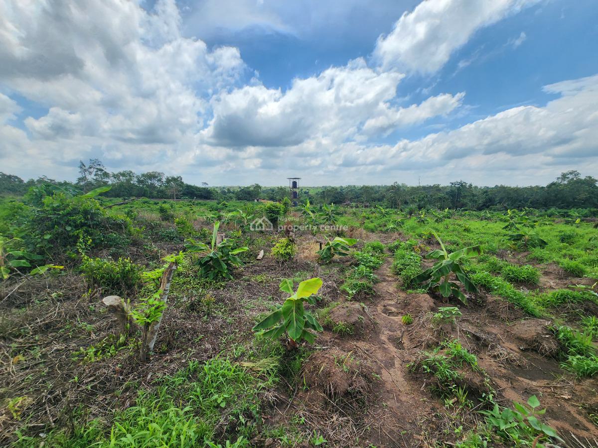 Farm Smart and Earn Without Stress, Off Funaab, Alabata Road, Odeda, Ogun, Mixed-use Land for Sale