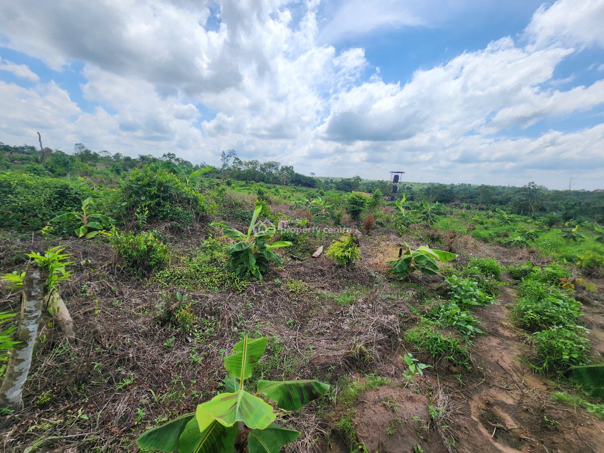 Farm Smart and Earn Without Stress, Off Funaab, Alabata Road, Odeda, Ogun, Mixed-use Land for Sale