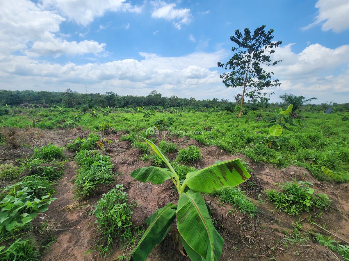 Farm Smart and Earn Without Stress, Off Funaab, Alabata Road, Odeda, Ogun, Mixed-use Land for Sale