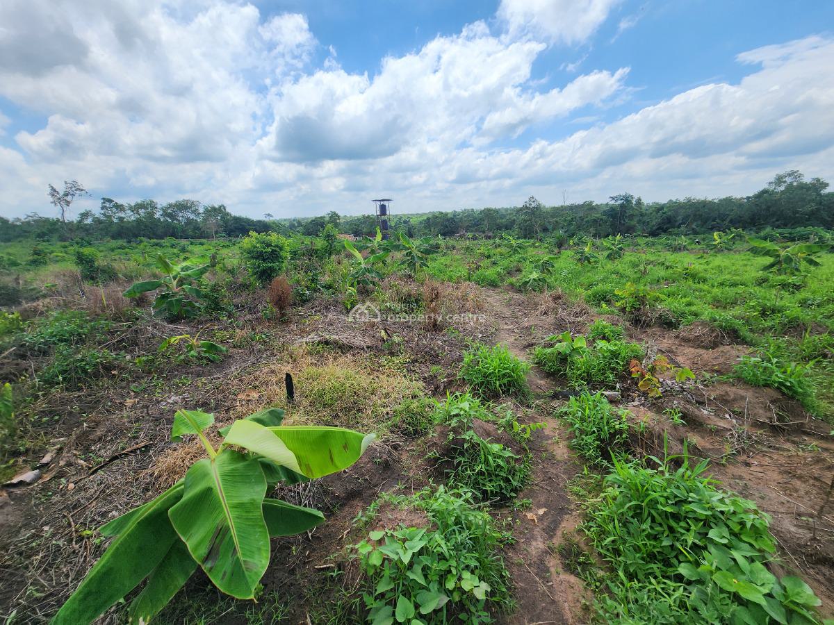 Farmland Investment with Proven Agricultural Roi, Off Funaab, Alabata Road, Odeda, Ogun, Mixed-use Land for Sale