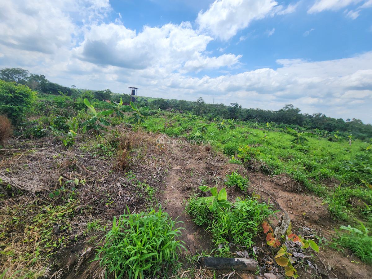 Farmland Investment with Proven Agricultural Roi, Off Funaab, Alabata Road, Odeda, Ogun, Mixed-use Land for Sale