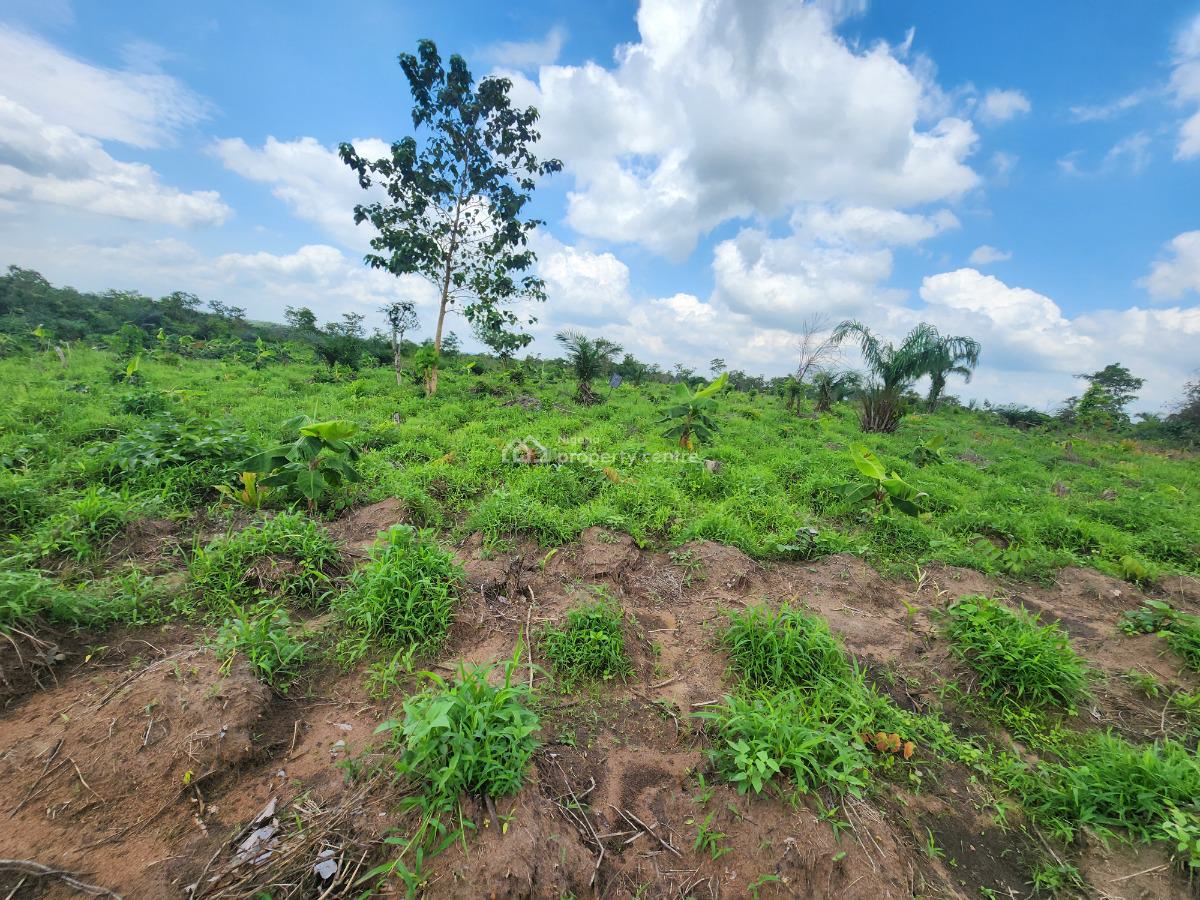 Farmland Investment with Proven Agricultural Roi, Off Funaab, Alabata Road, Odeda, Ogun, Mixed-use Land for Sale