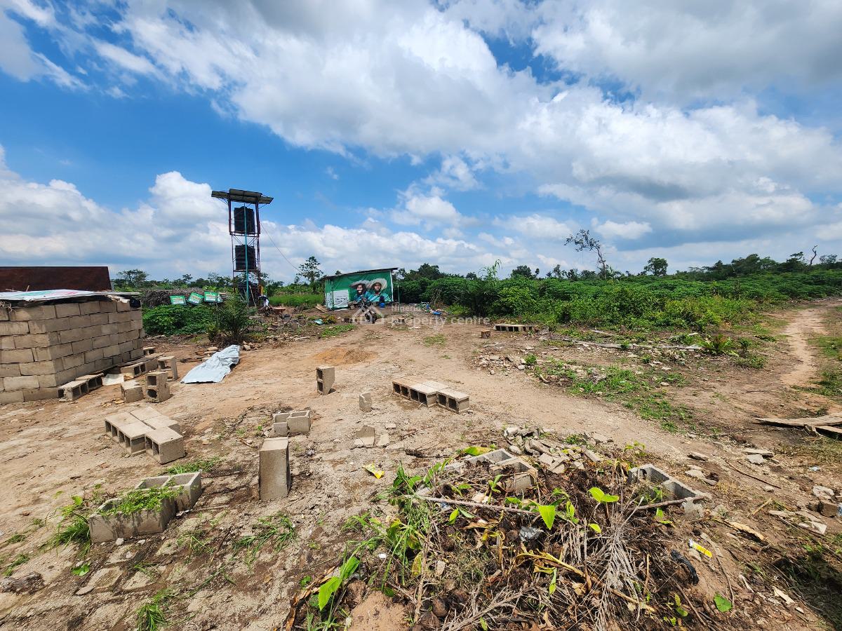 Join Hundreds of Investors Making Millions From Farmland, Off Funaab, Alabata Road, Odeda, Ogun, Mixed-use Land for Sale