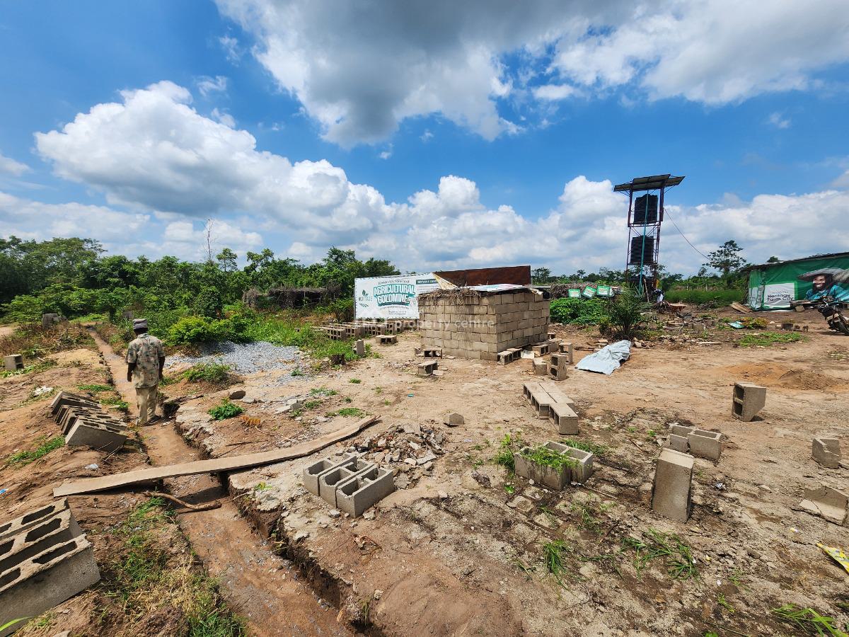 Affordable Farmland with Irrigation Systems, Off Funaab, Alabata Road, Odeda, Ogun, Mixed-use Land for Sale
