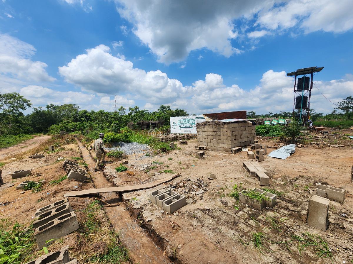 Affordable Farmland with Irrigation Systems, Off Funaab, Alabata Road, Odeda, Ogun, Mixed-use Land for Sale