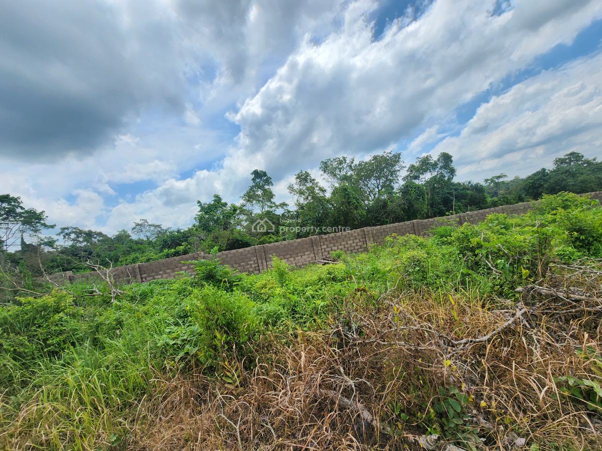 Farm Investment That Brings Real and Tangible Profit, Off Funaab, Alabata Road, Odeda, Ogun, Mixed-use Land for Sale