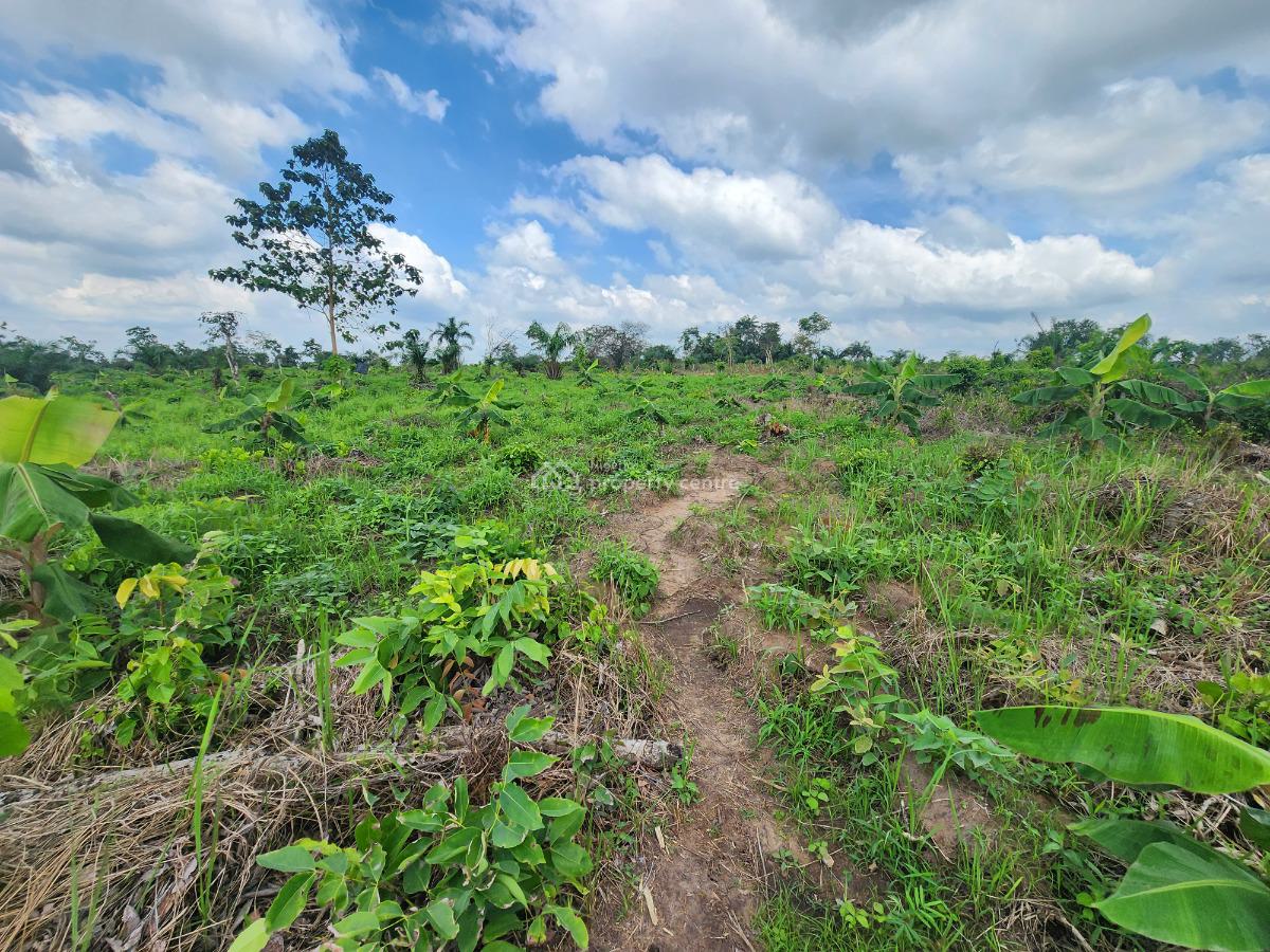 Get Your Own Farm Plot and Start Cultivating, Off Funaab, Alabata Road, Odeda, Ogun, Mixed-use Land for Sale