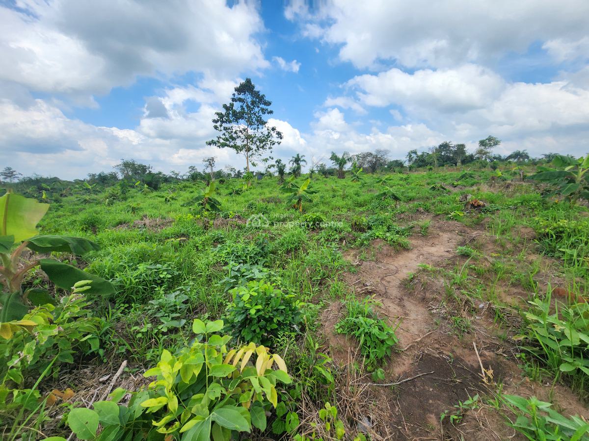 Get Your Own Farm Plot and Start Cultivating, Off Funaab, Alabata Road, Odeda, Ogun, Mixed-use Land for Sale