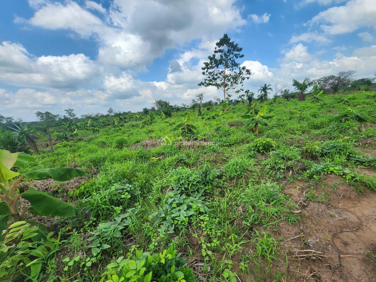 Get Your Own Farm Plot and Start Cultivating, Off Funaab, Alabata Road, Odeda, Ogun, Mixed-use Land for Sale