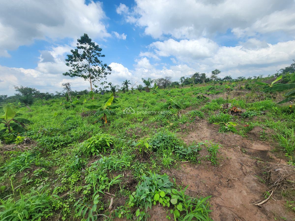 Farm Smart and Earn Without Stress, Off Funaab, Alabata Road, Odeda, Ogun, Mixed-use Land for Sale