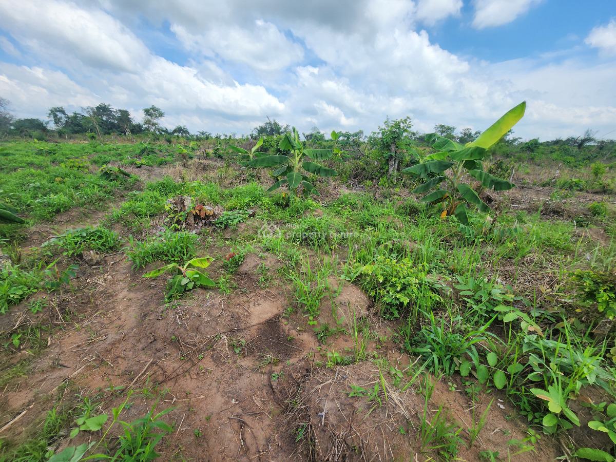 Farm Smart and Earn Without Stress, Off Funaab, Alabata Road, Odeda, Ogun, Mixed-use Land for Sale
