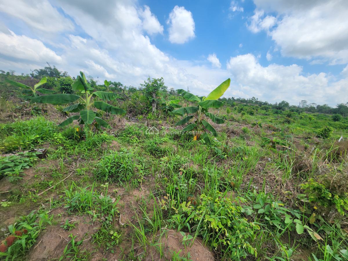 Farm Smart and Earn Without Stress, Off Funaab, Alabata Road, Odeda, Ogun, Mixed-use Land for Sale
