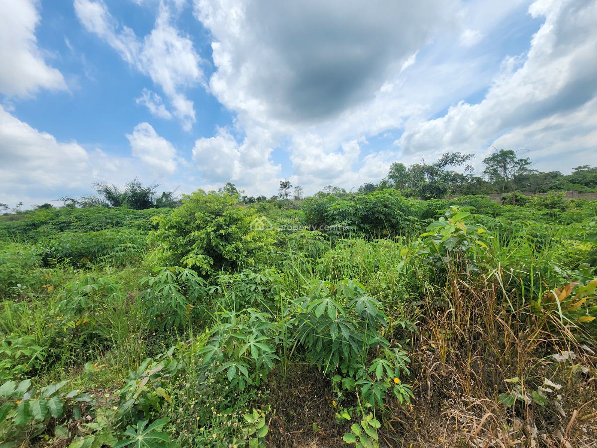 Grow Wealth From The Ground Up with Farmland, Off Funaab, Alabata Road, Odeda, Ogun, Mixed-use Land for Sale