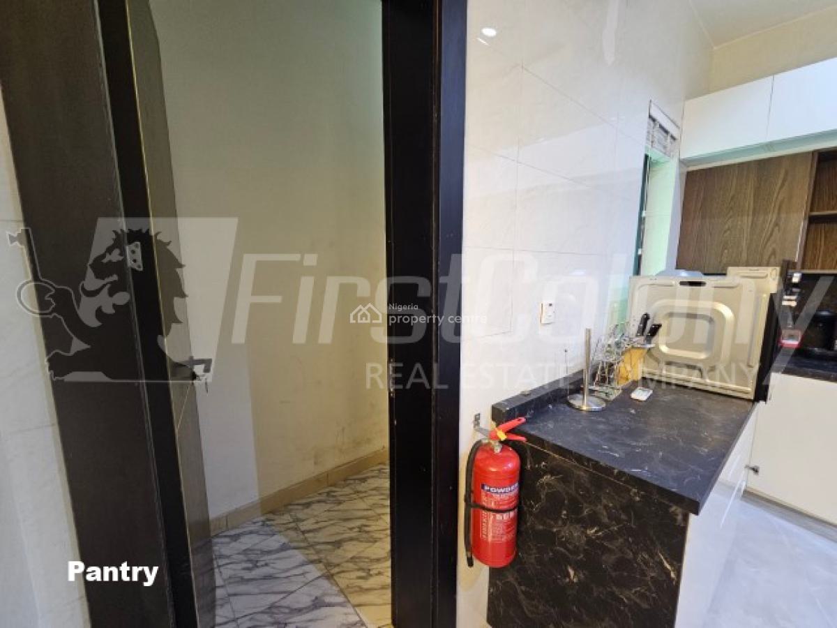 Furnished 4 Bedroom Luxury Apartment, Old Ikoyi, Ikoyi, Lagos, Flat / Apartment for Rent