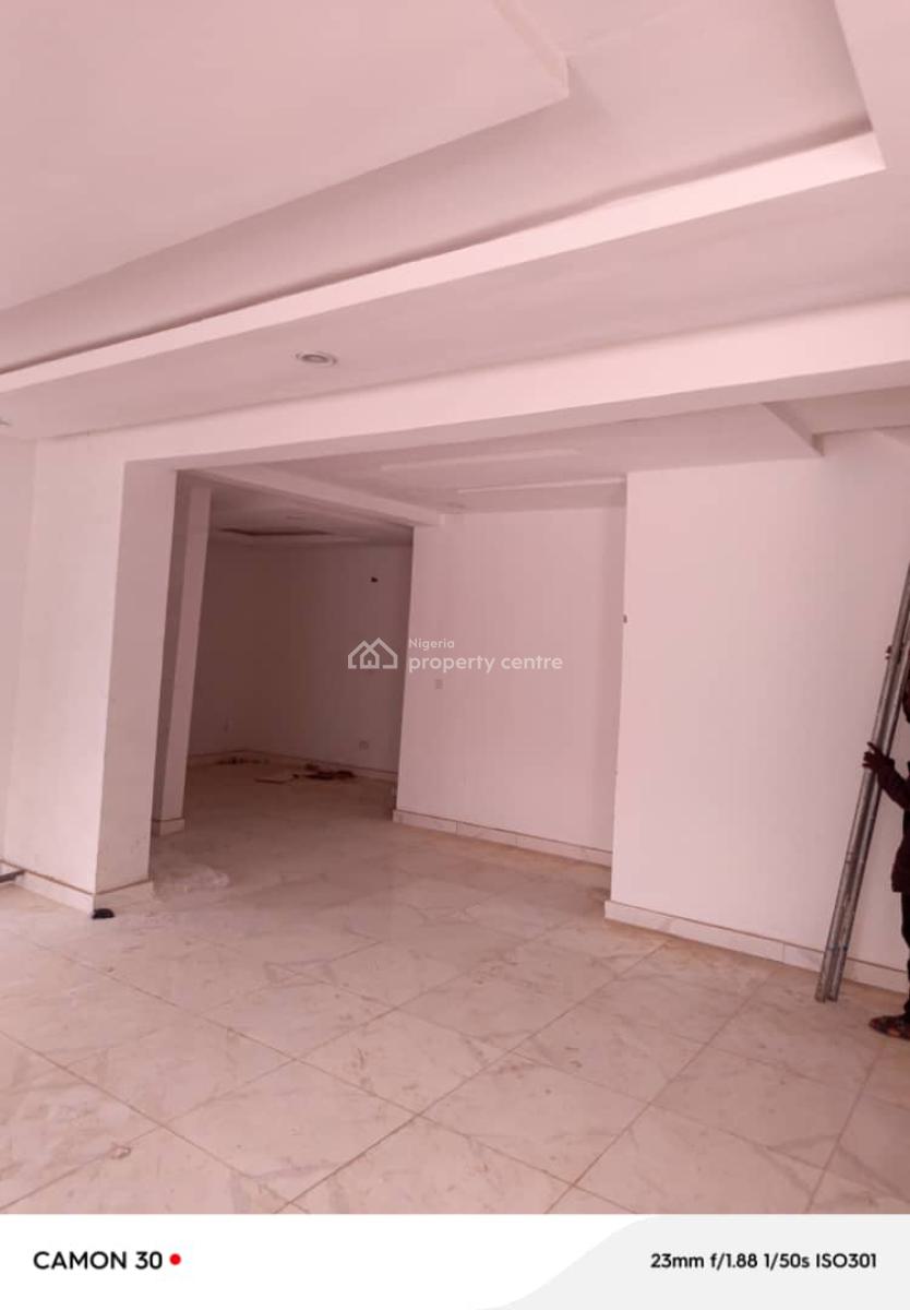 a Newly Built Stunning World Class 5 Bedroom Terrace Duplex + Bq, Asokoro District, Abuja, Terraced Duplex for Rent