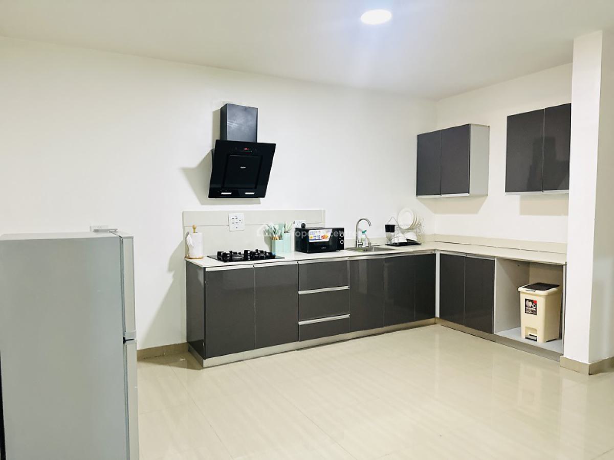 Nicely Furnished 2 Bedroom Apartment, Ikate, Lekki, Lagos, Flat / Apartment Short Let