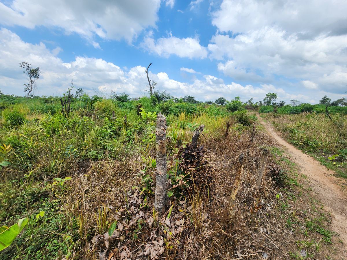 Farmland Investment with Proven Agricultural Roi, Off Funaab, Alabata Road, Odeda, Ogun, Mixed-use Land for Sale