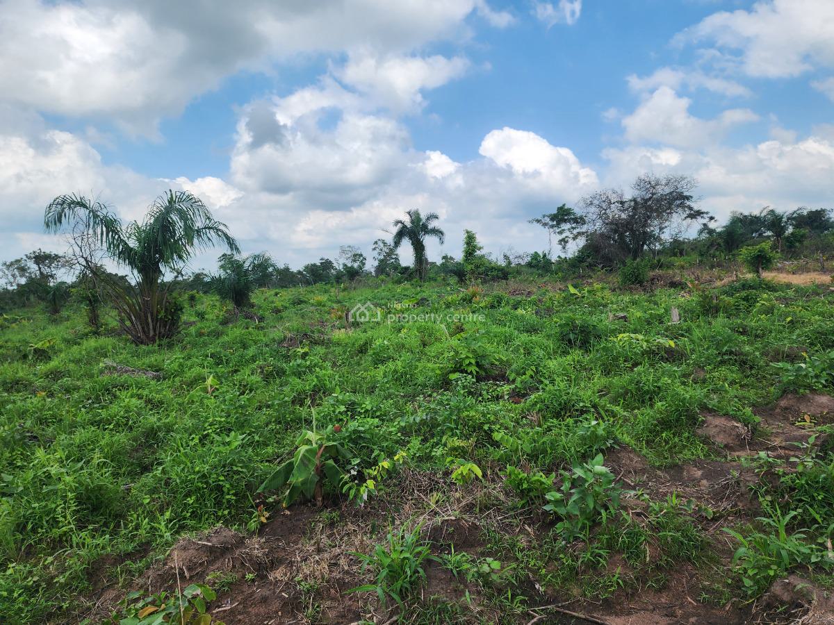 Invest in Farmland, Reap Profits Every Year, Off Funaab, Alabata Road, Odeda, Ogun, Mixed-use Land for Sale