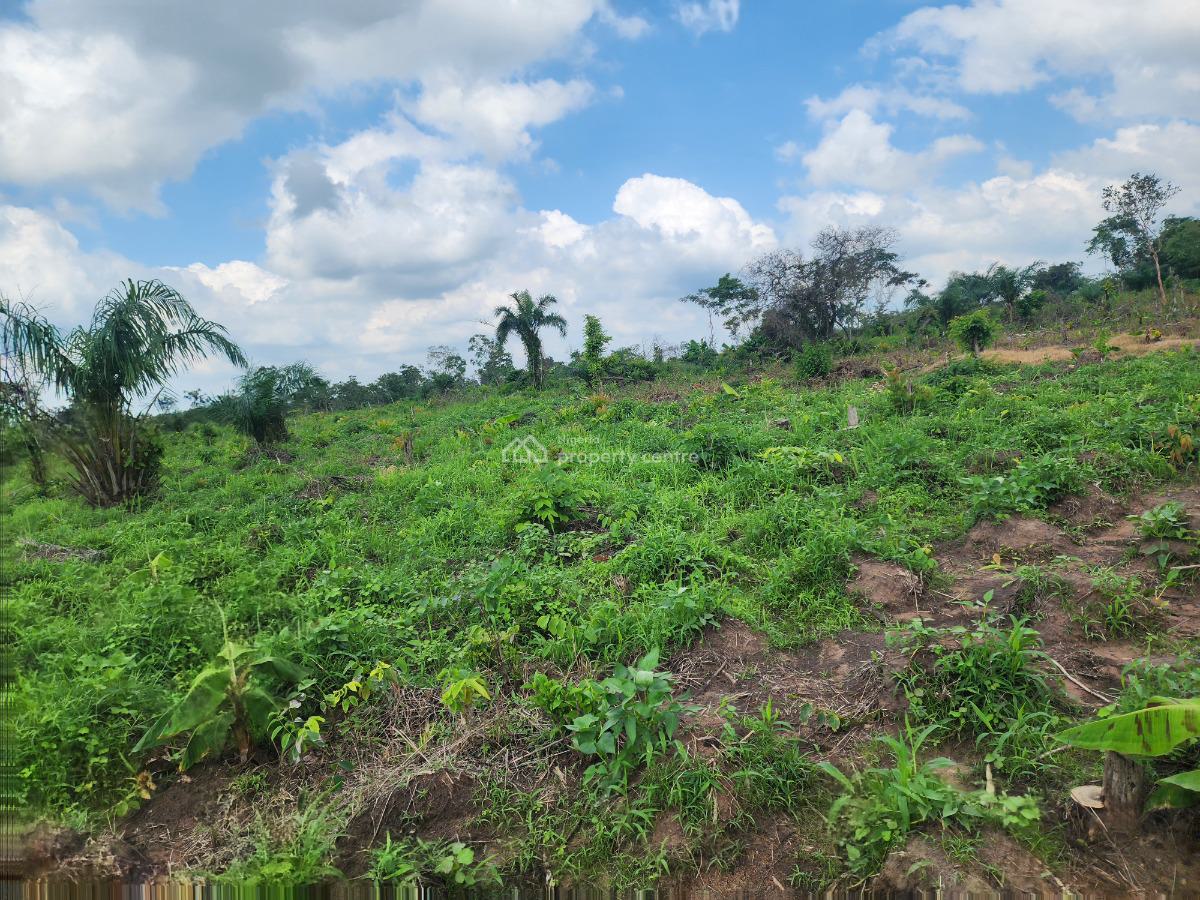 Invest in Farmland, Reap Profits Every Year, Off Funaab, Alabata Road, Odeda, Ogun, Mixed-use Land for Sale