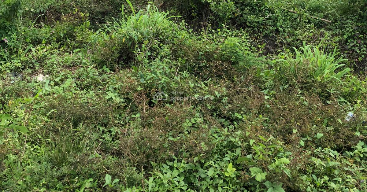 20 Hectares of Land with C of O, Abijo Gra, Ibeju Lekki, Lagos, Land for Sale