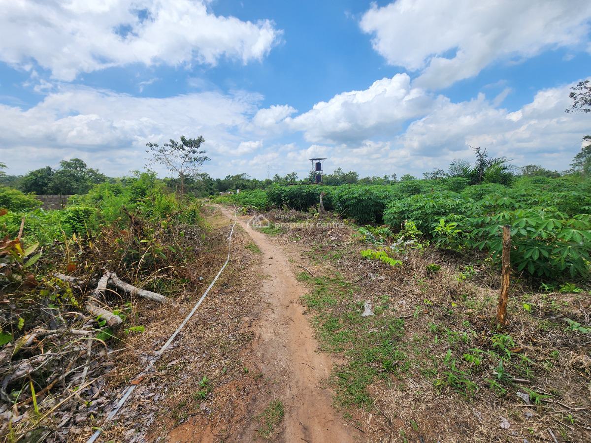 Grow Food, Grow Wealth, Own a Farm, Off Funaab, Alabata Road, Odeda, Ogun, Mixed-use Land for Sale