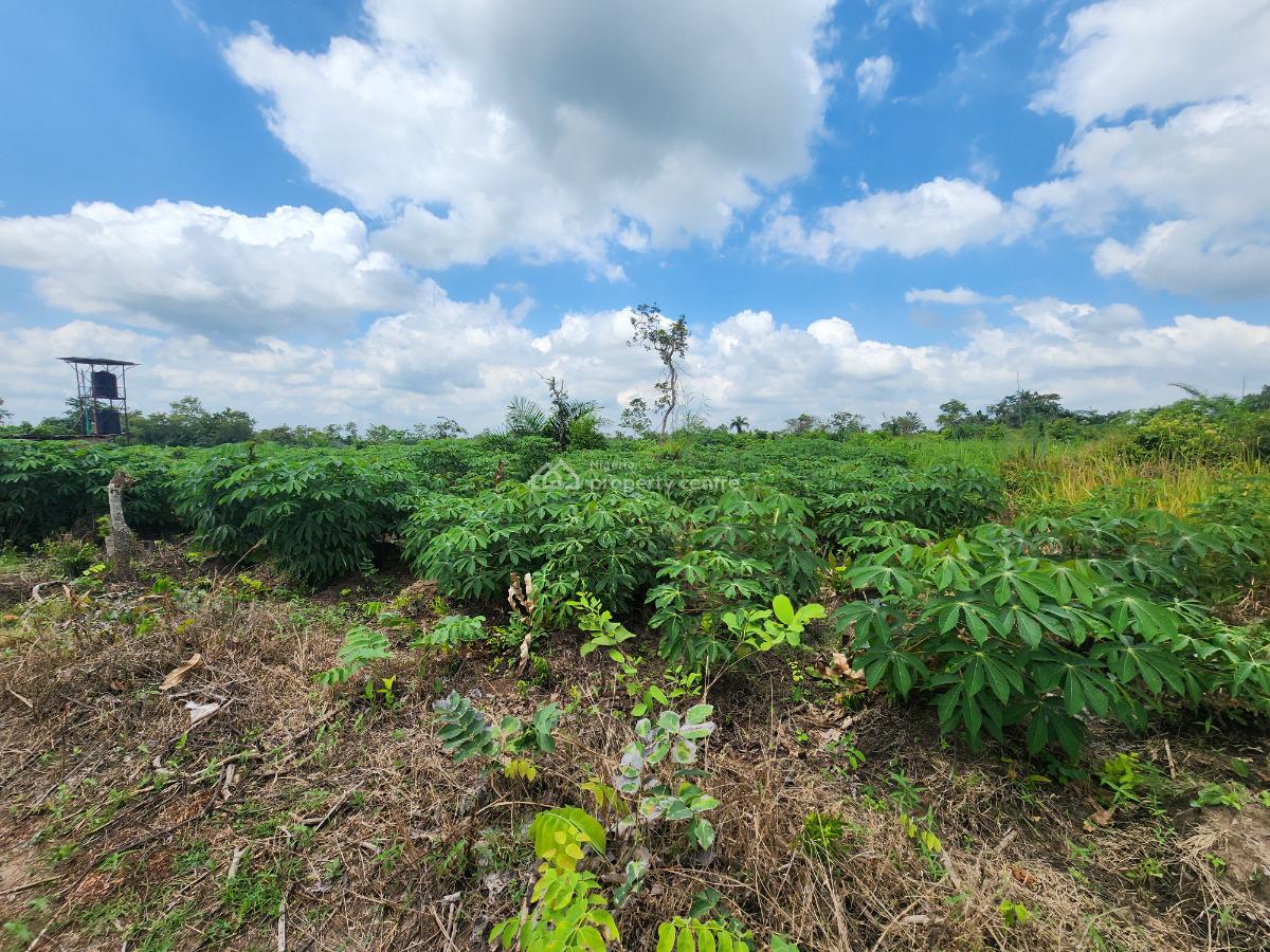 Grow Food, Grow Wealth, Own a Farm, Off Funaab, Alabata Road, Odeda, Ogun, Mixed-use Land for Sale