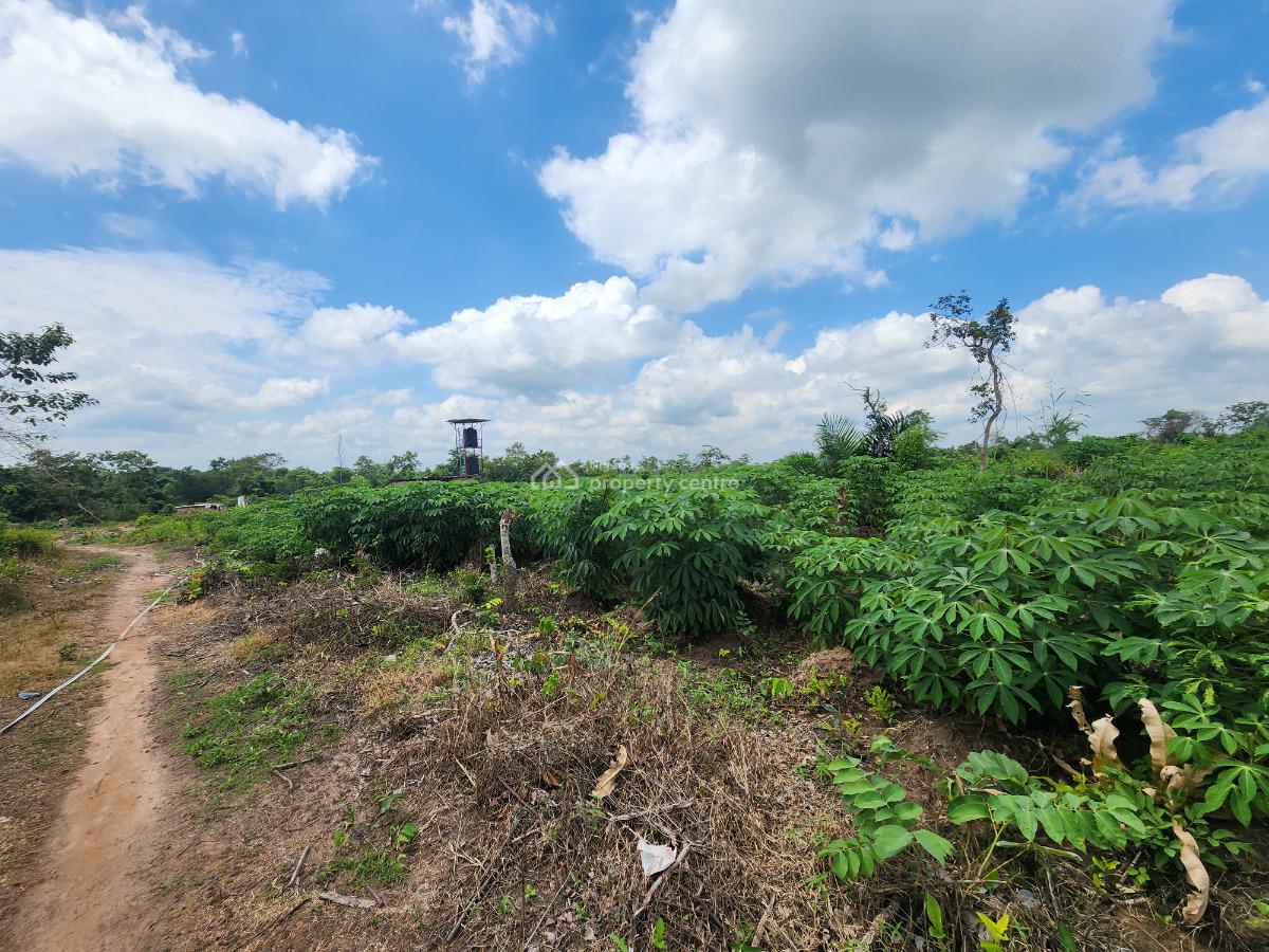 Grow Food, Grow Wealth, Own a Farm, Off Funaab, Alabata Road, Odeda, Ogun, Mixed-use Land for Sale