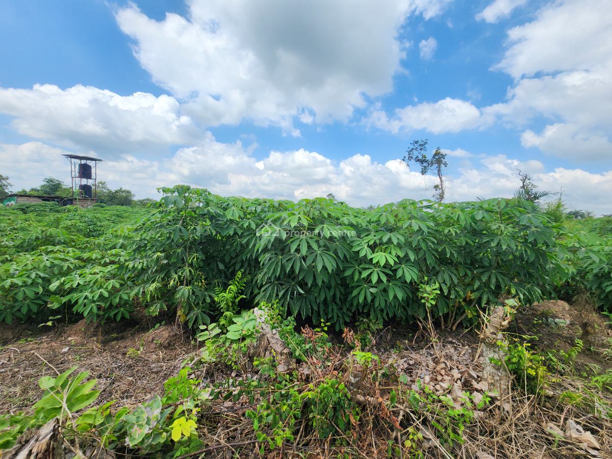 Farmland That Yields Crops and Cashflow, Off Funaab, Alabata Road, Odeda, Ogun, Mixed-use Land for Sale