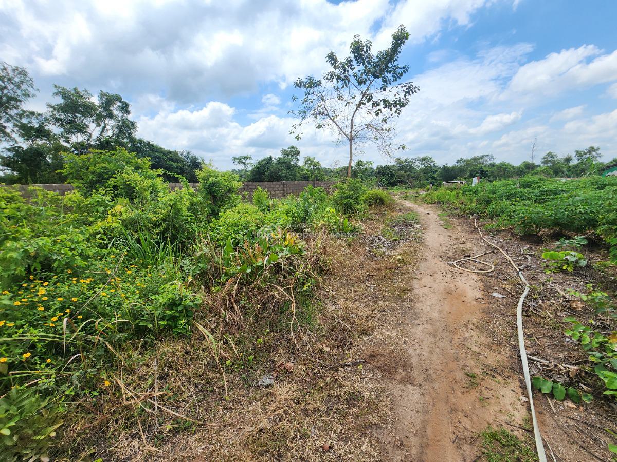 Farmland That Yields Crops and Cashflow, Off Funaab, Alabata Road, Odeda, Ogun, Mixed-use Land for Sale