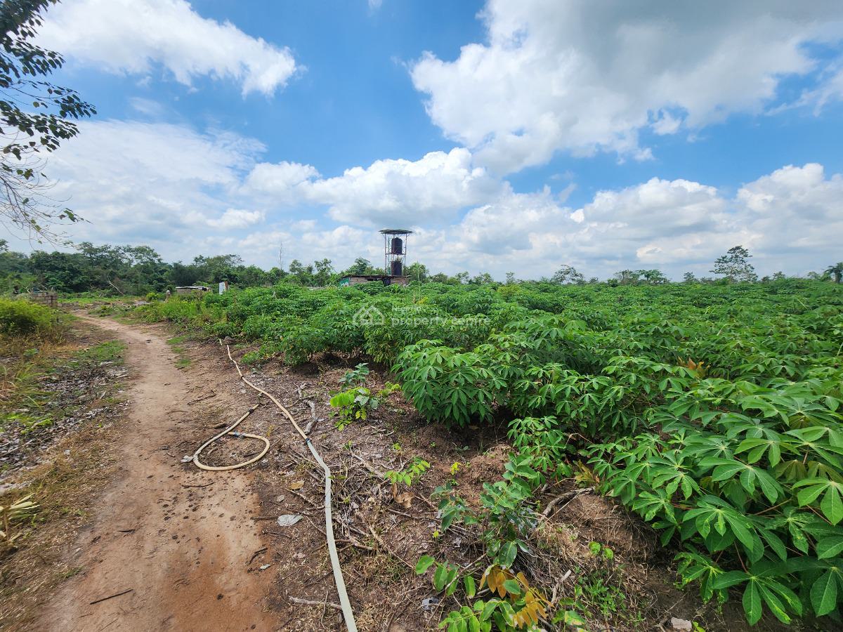 From Soil to Success, Invest in Farming, Off Funaab, Alabata Road, Odeda, Ogun, Mixed-use Land for Sale