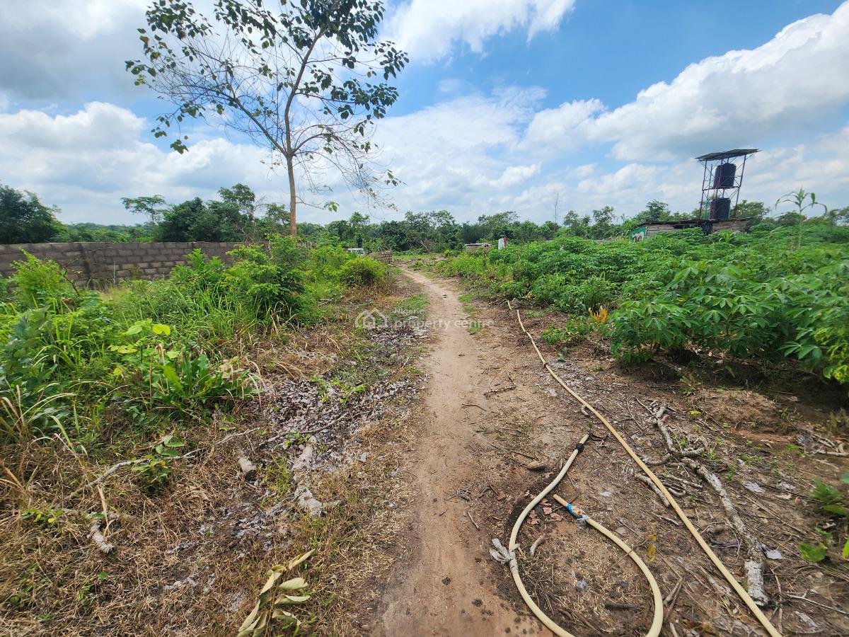 Invest in Green Gold and Earn for Life, Off Funaab, Alabata Road, Odeda, Ogun, Mixed-use Land for Sale
