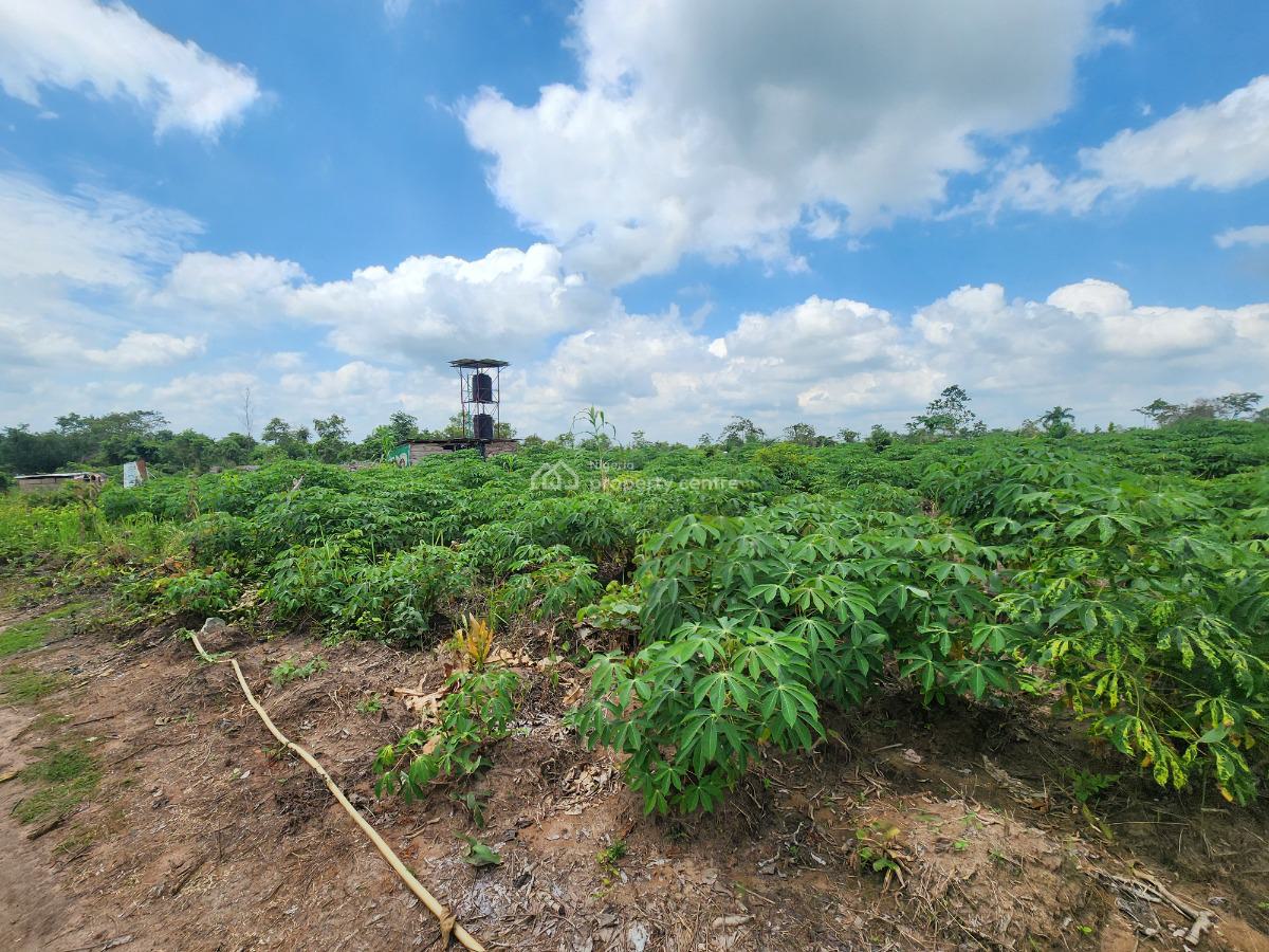 Invest in Green Gold and Earn for Life, Off Funaab, Alabata Road, Odeda, Ogun, Mixed-use Land for Sale