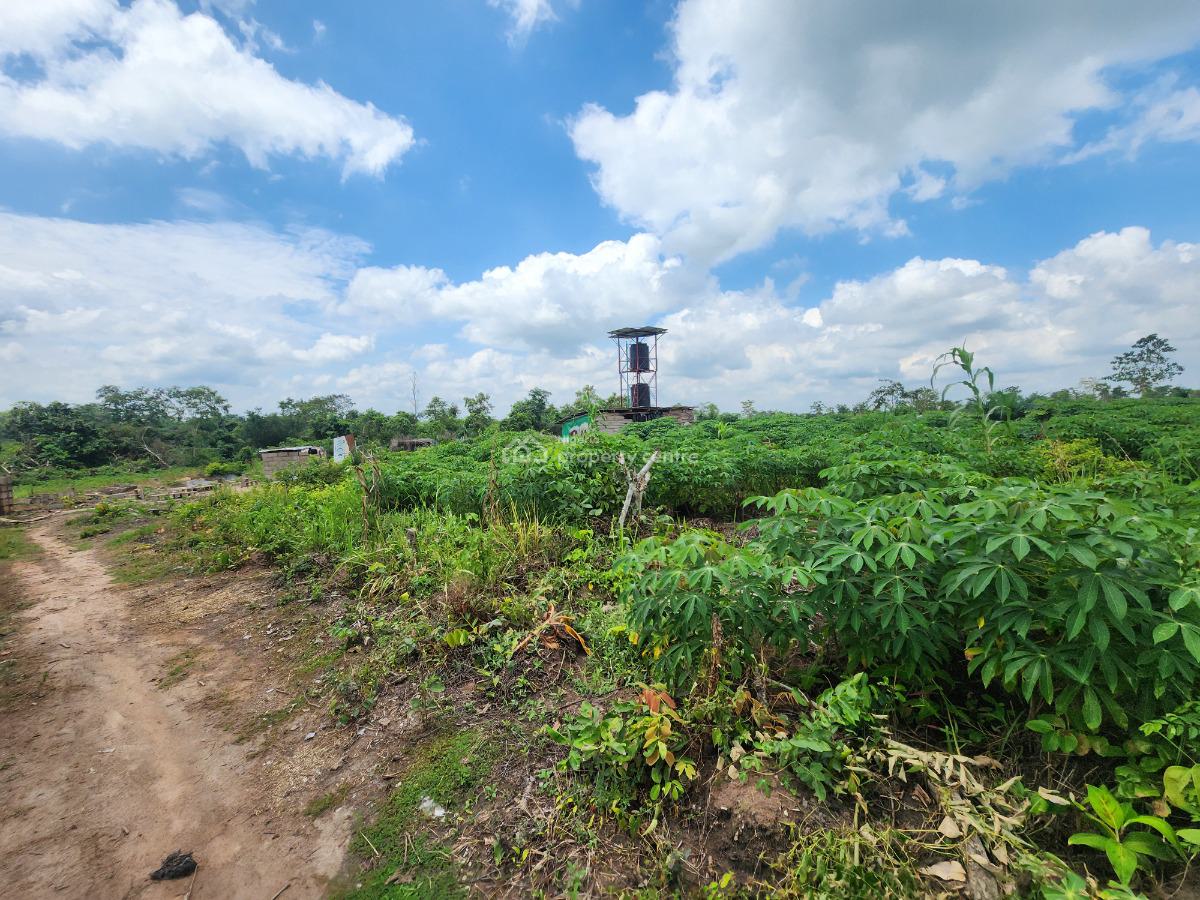 Profitable Agriculture Begins with The Right Farmland, Off Funaab, Alabata Road, Odeda, Ogun, Mixed-use Land for Sale