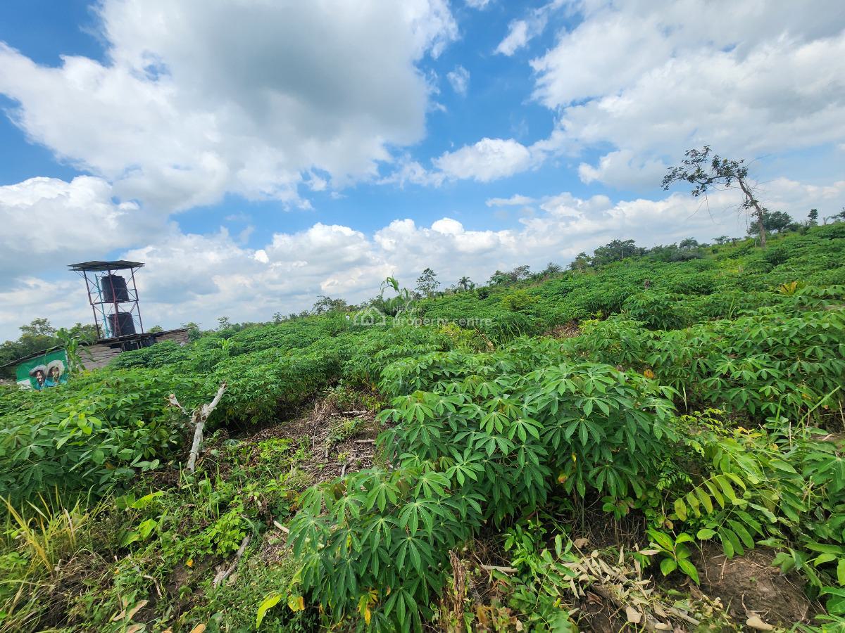 Profitable Agriculture Begins with The Right Farmland, Off Funaab, Alabata Road, Odeda, Ogun, Mixed-use Land for Sale