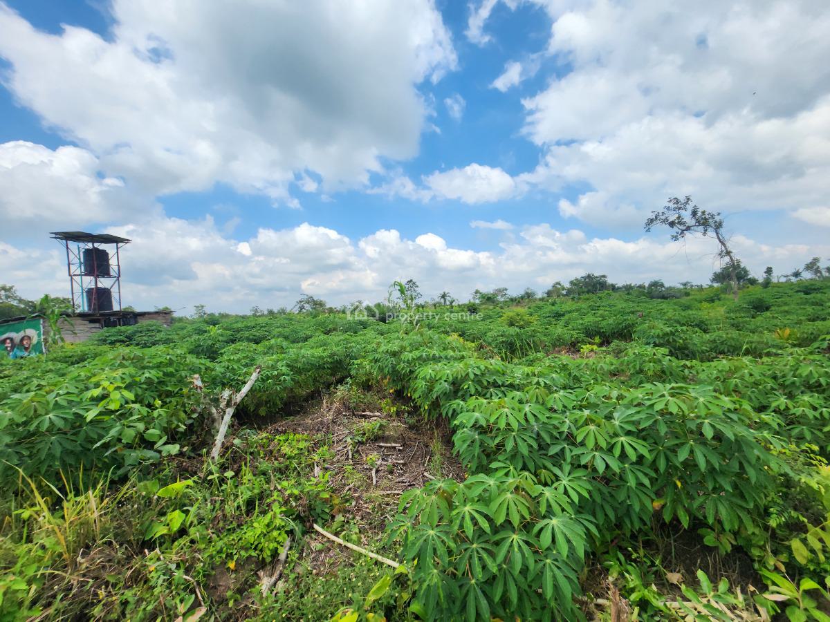 Fertile Land, Flexible Plans, Fantastic Returns, Off Funaab, Alabata Road, Odeda, Ogun, Mixed-use Land for Sale