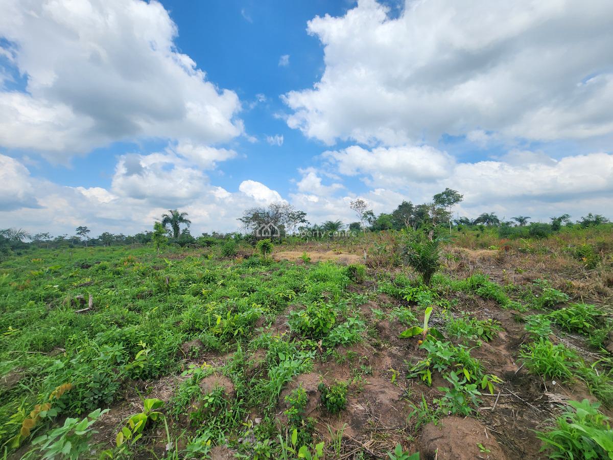 Make Your Money Work for You Through Farmland Investment, Off Funaab, Alabata Road, Odeda, Ogun, Mixed-use Land for Sale