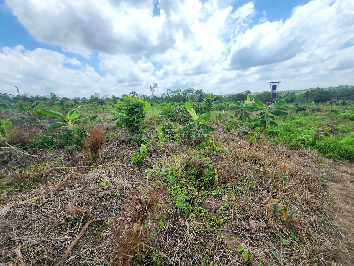 Let Your Farmland Make Money While You Sleep, Off Funaab, Alabata Road, Odeda, Ogun, Mixed-use Land for Sale