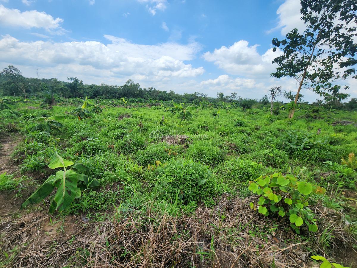 Let Your Farmland Make Money While You Sleep, Off Funaab, Alabata Road, Odeda, Ogun, Mixed-use Land for Sale