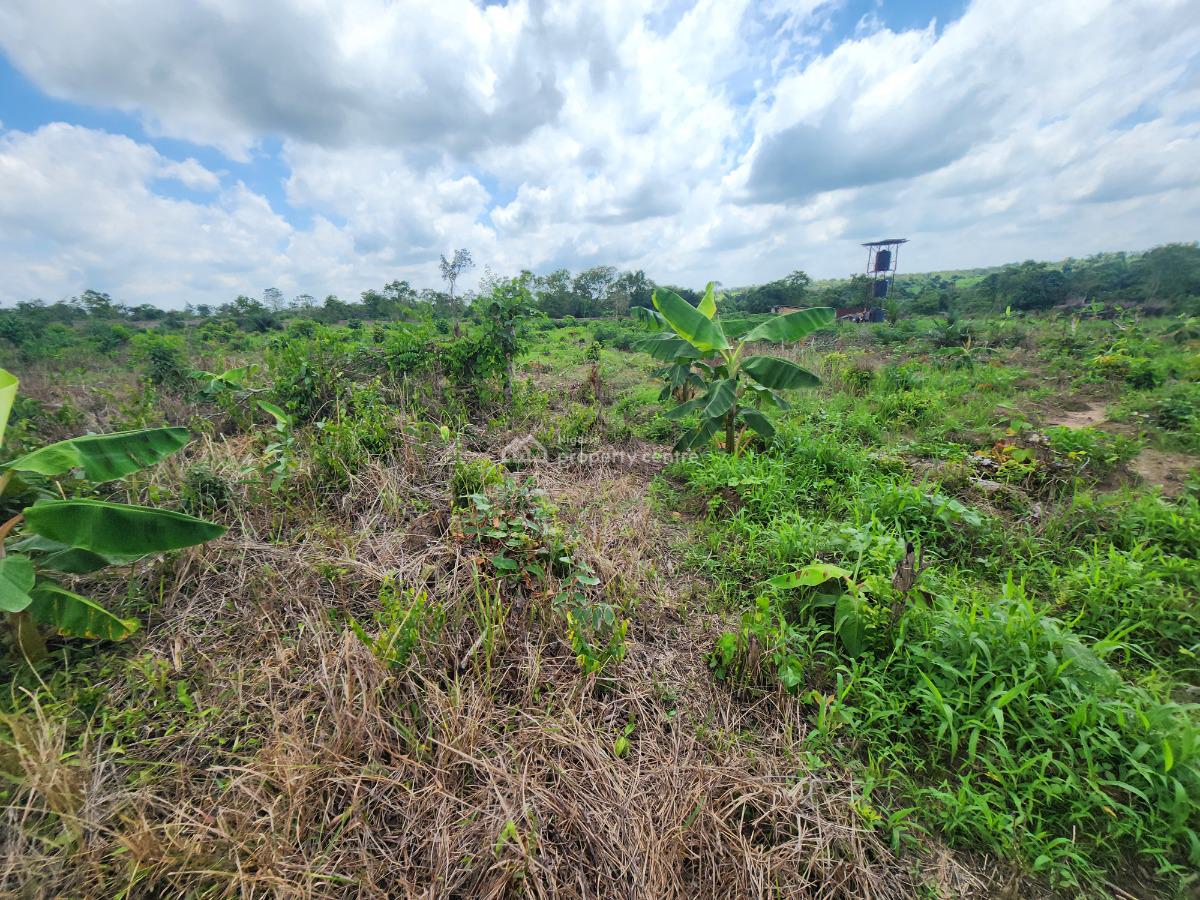 Let Your Farmland Make Money While You Sleep, Off Funaab, Alabata Road, Odeda, Ogun, Mixed-use Land for Sale