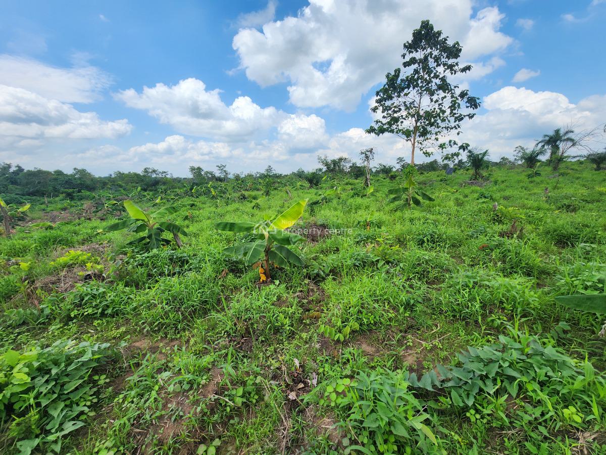 Watch Your Land Appreciate While Your Profits Multiply, Off Funaab, Alabata Road, Odeda, Ogun, Mixed-use Land for Sale