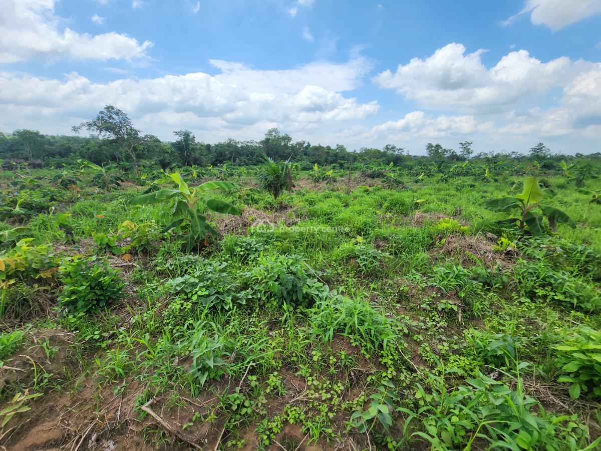 Watch Your Land Appreciate While Your Profits Multiply, Off Funaab, Alabata Road, Odeda, Ogun, Mixed-use Land for Sale