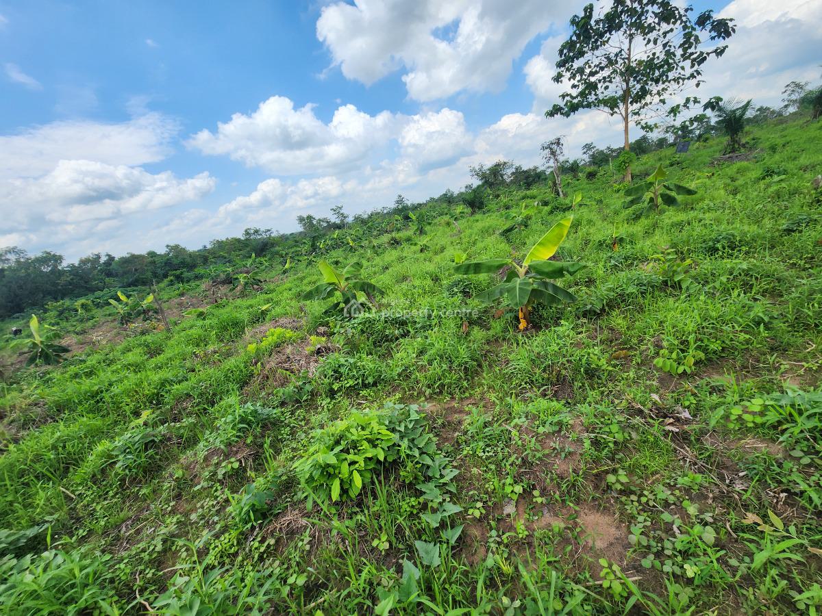 Watch Your Land Appreciate While Your Profits Multiply, Off Funaab, Alabata Road, Odeda, Ogun, Mixed-use Land for Sale