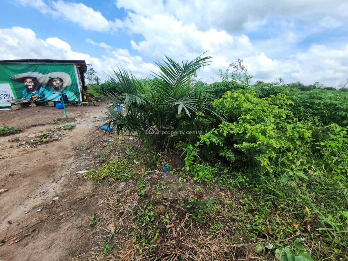 Let Your Money Grow on Fertile Ground, Off Funaab, Alabata Road, Odeda, Ogun, Mixed-use Land for Sale