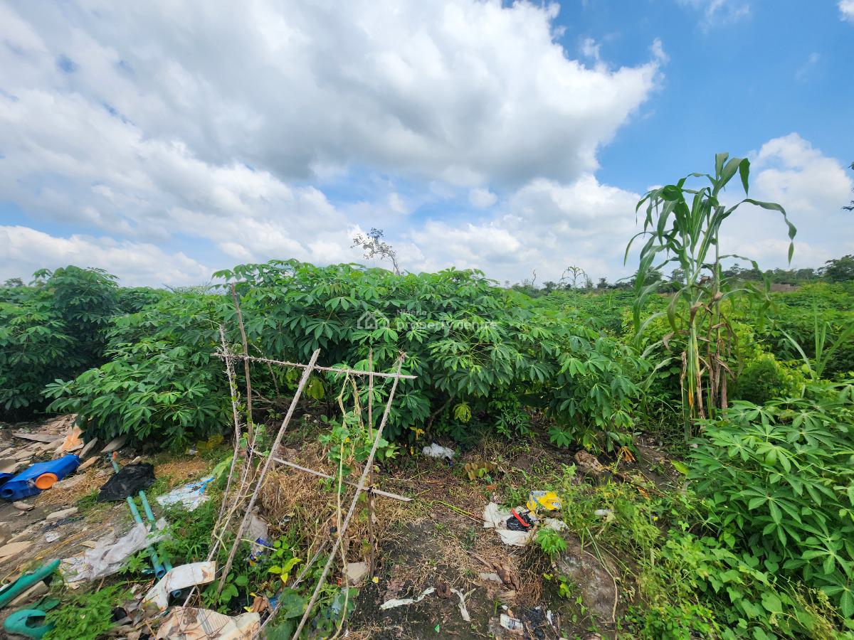 Be Part of The Green Gold Rush, Farm Smarter, Live Better, Off Funaab, Alabata Road, Odeda, Ogun, Mixed-use Land for Sale