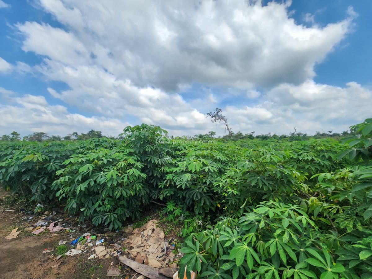 Earn Consistent Profit While Your Crops Do The Work, Off Funaab, Alabata Road, Odeda, Ogun, Mixed-use Land for Sale