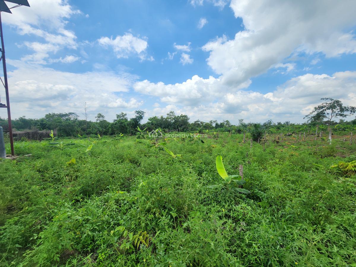 Your Money Deserves to Grow on Fertile Soil, Off Funaab, Alabata Road, Odeda, Ogun, Mixed-use Land for Sale