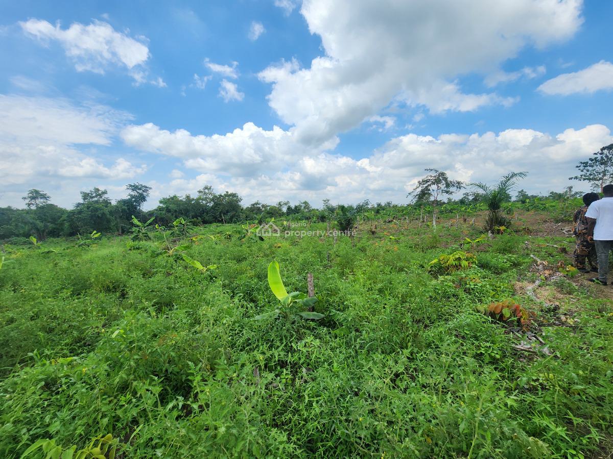 Your Money Deserves to Grow on Fertile Soil, Off Funaab, Alabata Road, Odeda, Ogun, Mixed-use Land for Sale