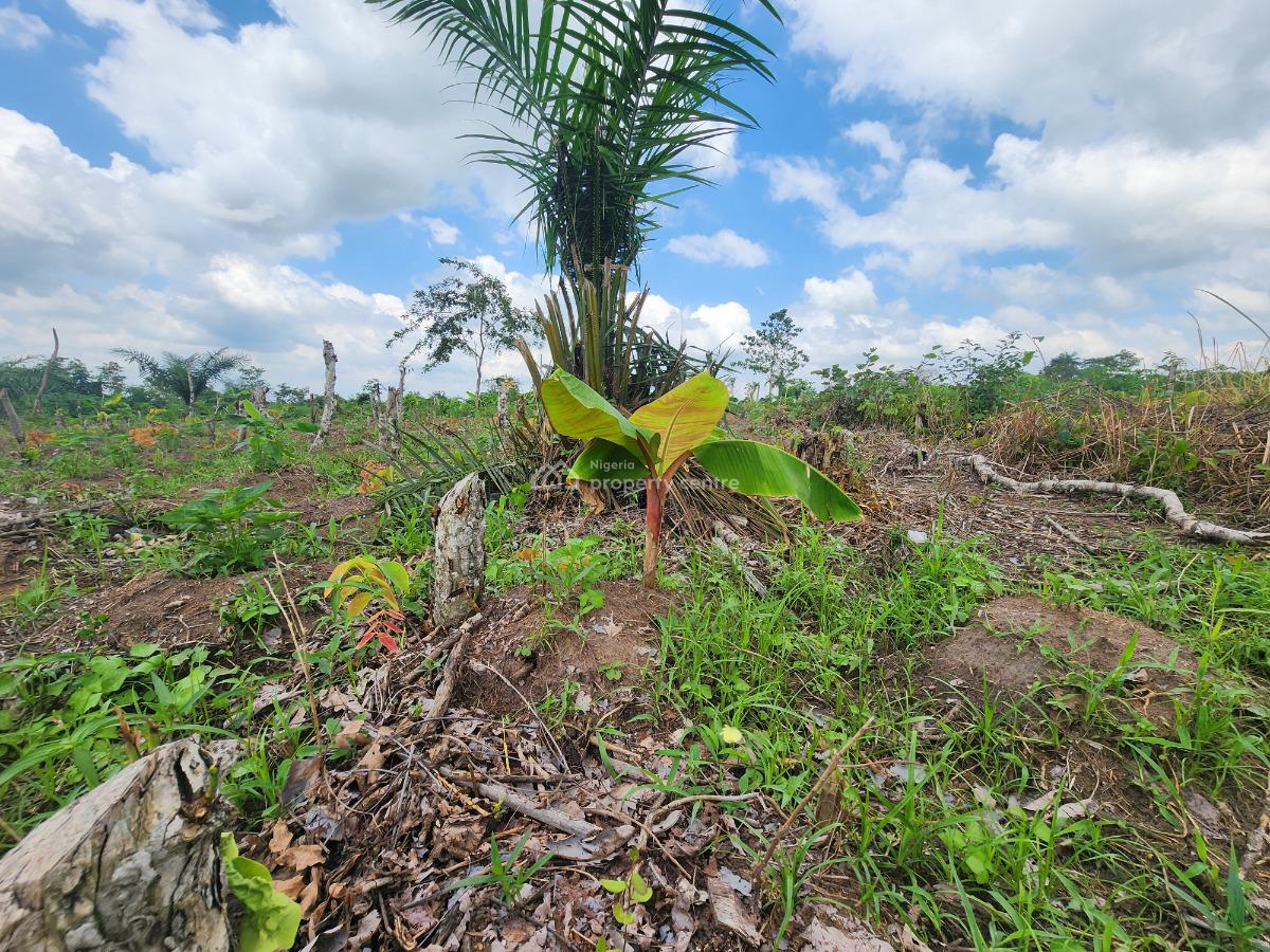 Stop Watching Others Profit From Agriculture, Join Them, Off Funaab, Alabata Road, Odeda, Ogun, Mixed-use Land for Sale