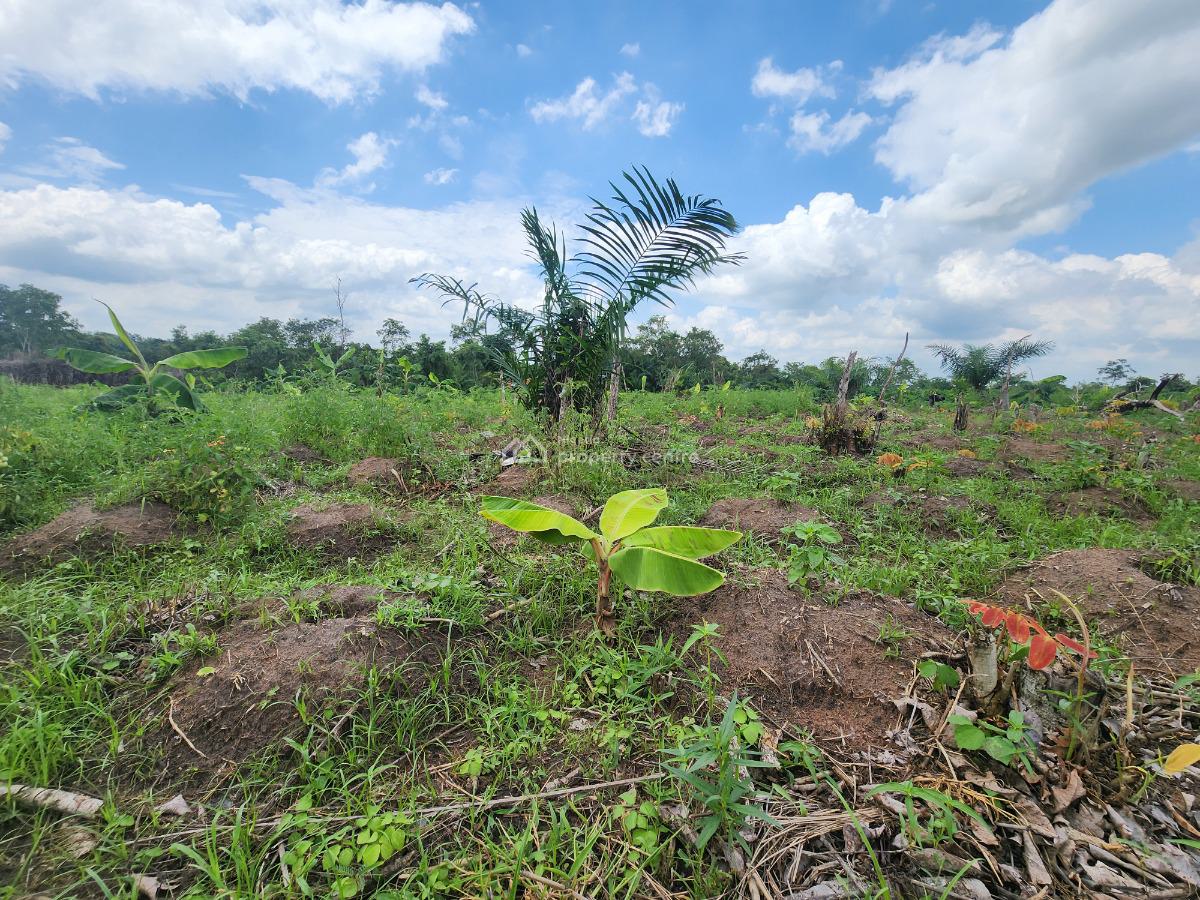 Stop Watching Others Profit From Agriculture, Join Them, Off Funaab, Alabata Road, Odeda, Ogun, Mixed-use Land for Sale